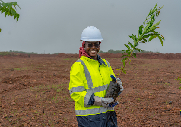 Environnement : EDG, TotalEnergies Marketing Guinée, Orange Guinée et ...